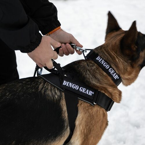 Product photo Working harness COBRA SYSTEM 2