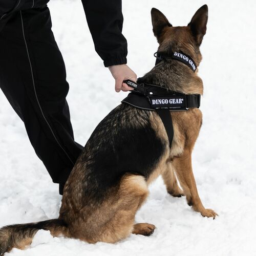 Product photo Working harness COBRA SYSTEM 4