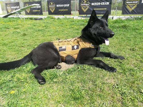 Product photo Tactical harness with MOLLE system 6