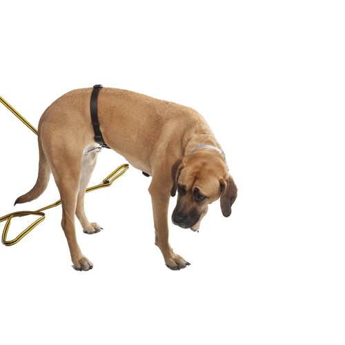 Product photo Tracking harness made of TRACY tape, black 5
