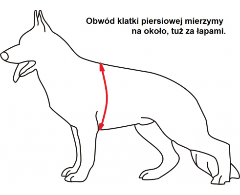 Zdjęcie produktu Szelki na ślad z taśmy TRACY, czarne 6