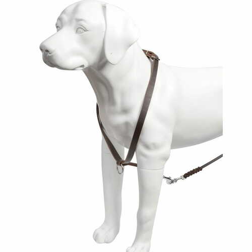 Product photo Leather tracking harness, brown 2