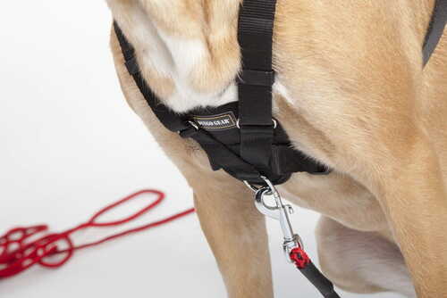 Product photo WEDA tracking harness upper and lower 3