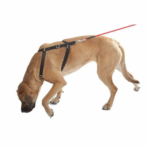 Product photo WEDA tracking harness upper and lower 4