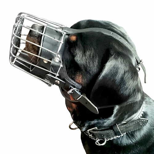 Product photo Reinforced metal muzzle for Rottweiler 7