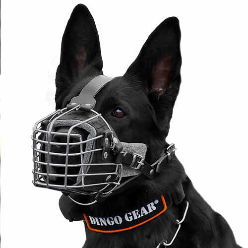 Product photo Combat-training muzzle for dog 3
