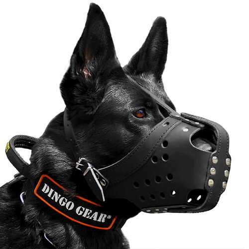Product photo Reinforced leather muzzle for dog 3
