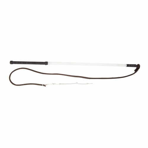 Product photo Training whip with leather tip 2