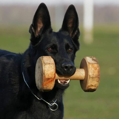 Product photo Wooden dumbbell for IGP, glued from beech wood 4