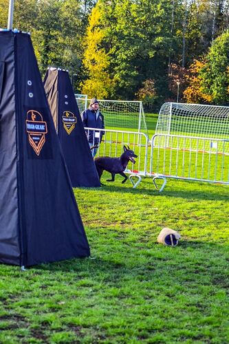 Product photo Decoy tent – hideout, 3 legs 4