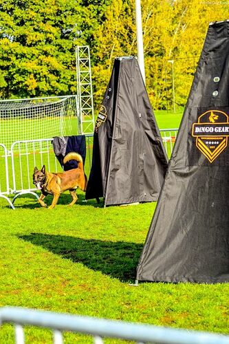 Product photo Decoy tent – hideout, 4 legs 6