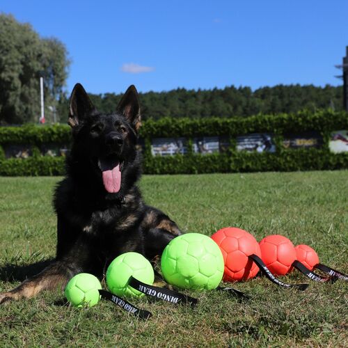 Product photo Orange inflatable ball with handle 4