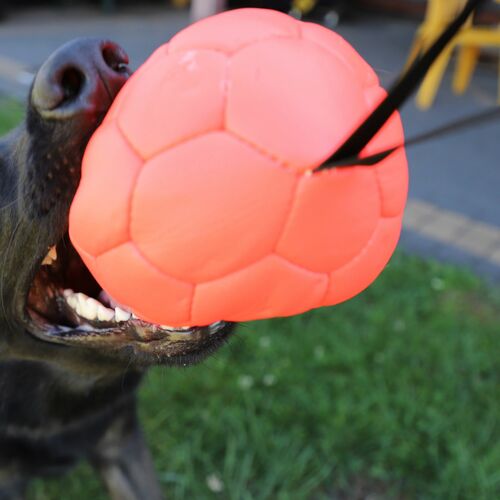 Product photo Stuffed ball with handle 4