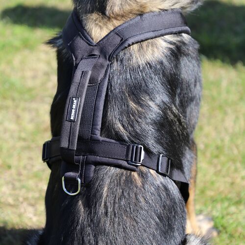 Product photo Ultra-light universal harness 5