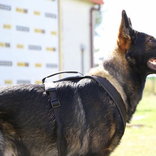 Product photo Ultra-light universal harness 7
