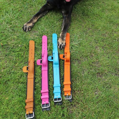Product photo Leather collar with DRAGO handle, colored 4