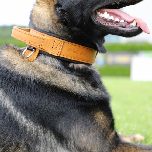 Product photo Leather collar with DRAGO handle, colored 12