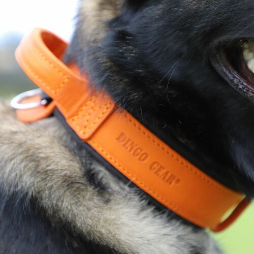 Product photo Leather collar with DRAGO handle, colored 11