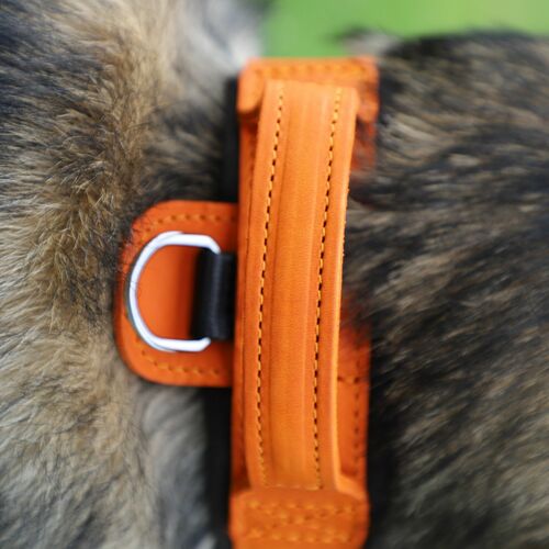 Product photo Leather collar with DRAGO handle, colored 16