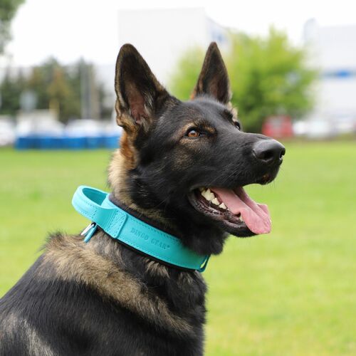 Product photo Leather collar with DRAGO handle, colored 16