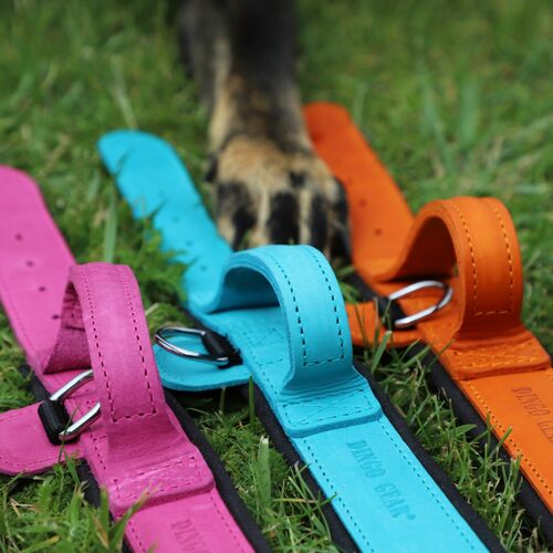 Product photo Leather collar with DRAGO handle, colored 4