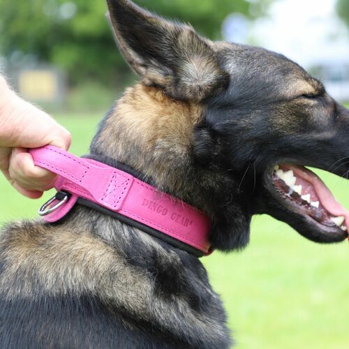 Product photo Leather collar with DRAGO handle, colored 11
