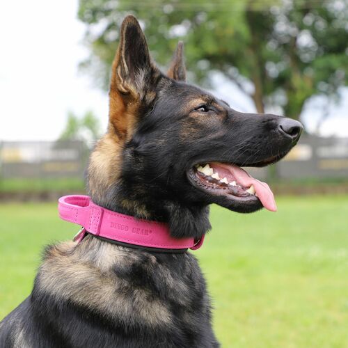 Product photo Leather collar with DRAGO handle, colored 16