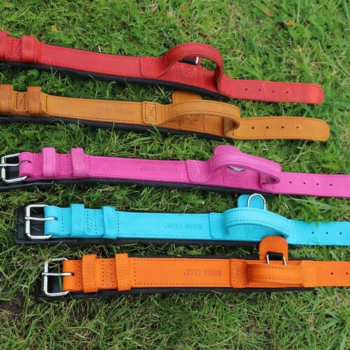Product photo Leather collar with DRAGO handle, colored 3
