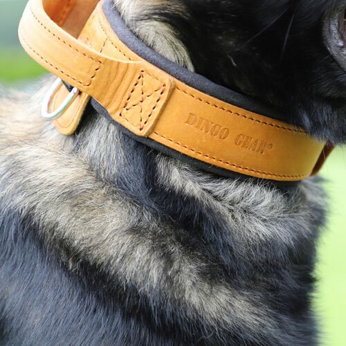 Product photo Leather collar with DRAGO handle, colored 16