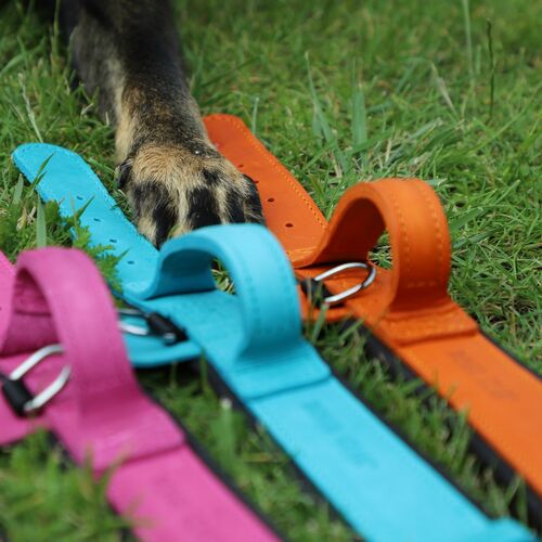 Product photo Leather collar with DRAGO handle, colored 3