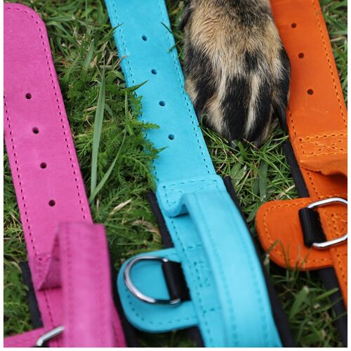 Product photo Leather collar with DRAGO handle, colored 4