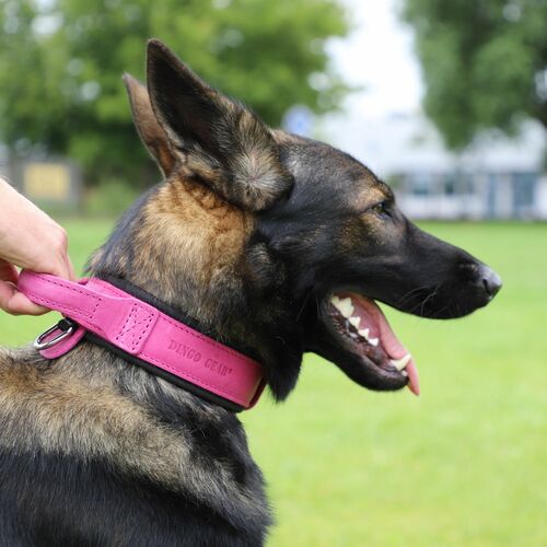 Product photo Leather collar with DRAGO handle, colored 9