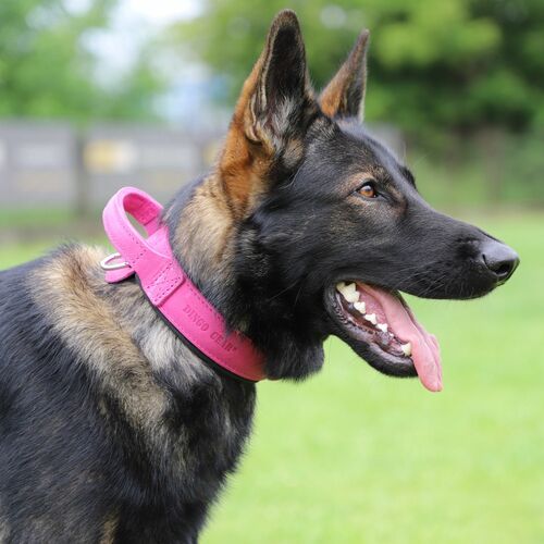 Product photo Leather collar with DRAGO handle, colored 11