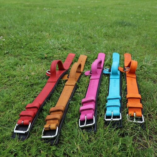Product photo Leather collar with DRAGO handle, colored 4