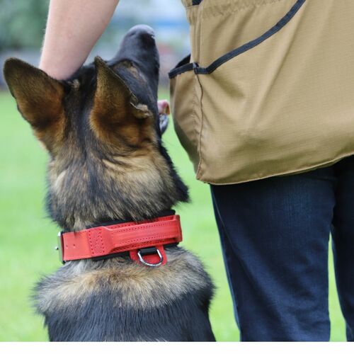 Product photo Leather collar with DRAGO handle, colored 14
