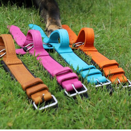 Product photo Leather collar with DRAGO handle, colored 3