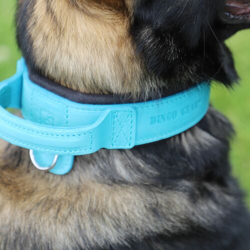 Product photo Leather collar with DRAGO handle, colored 13