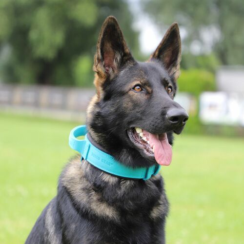 Product photo Leather collar with DRAGO handle, colored 14