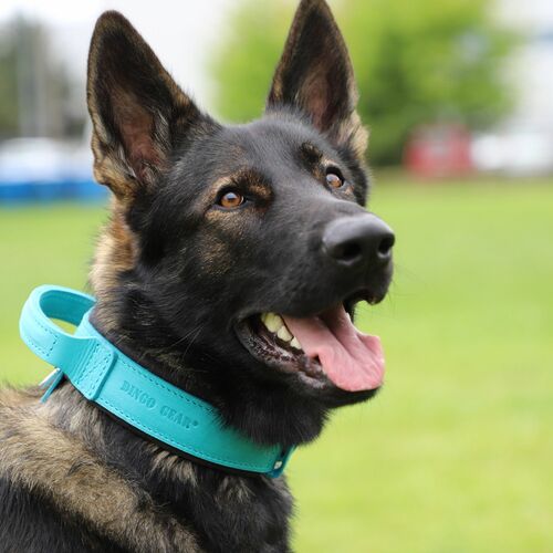 Product photo Leather collar with DRAGO handle, colored 15