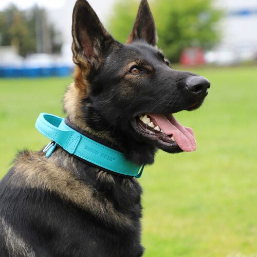 Product photo Leather collar with DRAGO handle, colored 16