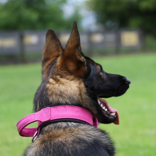 Product photo Leather collar with DRAGO handle, colored 6