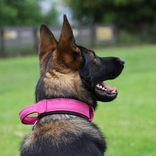 Product photo Leather collar with DRAGO handle, colored 7