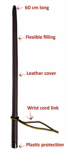 Product photo Leather dog training stick 2