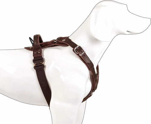 Product photo AMOS Cobra System leather harness, brown 5