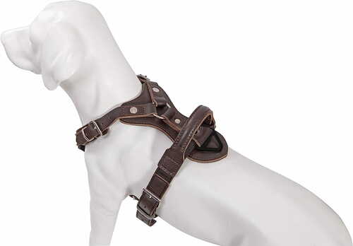 Product photo AMOS Cobra System leather harness, brown 8