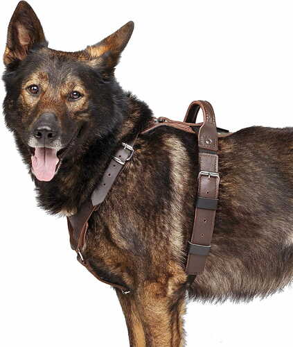 Product photo AMOS Cobra System leather harness, brown 11