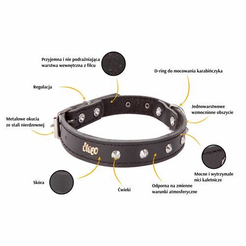 Product photo Classic Decorative Leather Collar 2