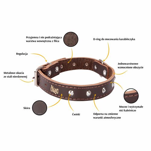 Product photo Classic Decorative Leather Collar 2