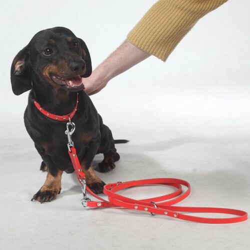 Product photo Classic Decorative Leather Collar 3