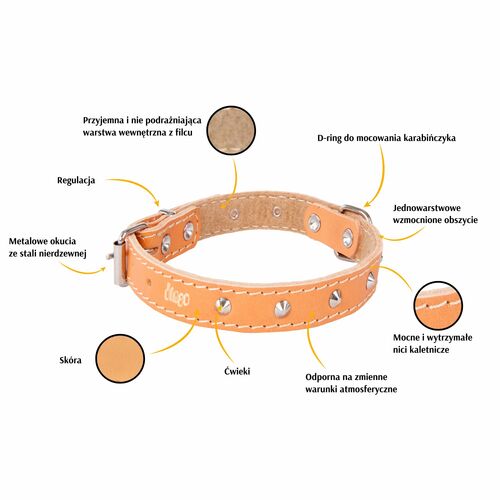 Product photo Classic Decorative Leather Collar 2